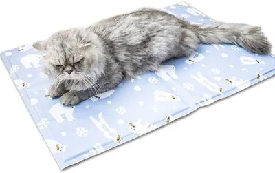 Image de Tapis rafraîchissant pour chiens et chats - Tapis pliable pour animaux, à utiliser à l'intérieur comme à l'extérieur (L - 50 x 70 cm)