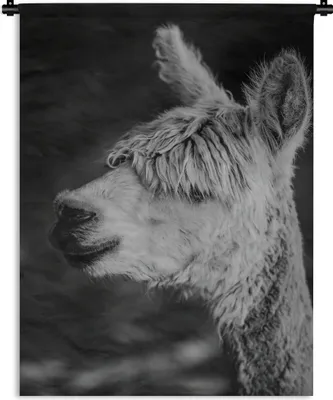 Produktbild von MuchoWow® Wandteppich Wandbehang Alpaka - Tiere - Schwarz - Weiß 150x200 cm Tapisserie Dekoration Wandtuch - Wandaufhängung - Moderner
