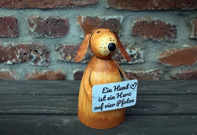 Produktbild von Zaunhocker Hund Pfoten