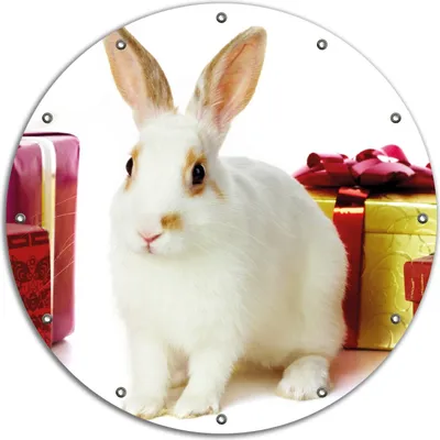 Produktbild von Wallario rundes Outdoor-Poster für Garten oder Balkon, Motiv Süßes Kaninchen mit bunten Geschenken, 90 cm Durchmesser