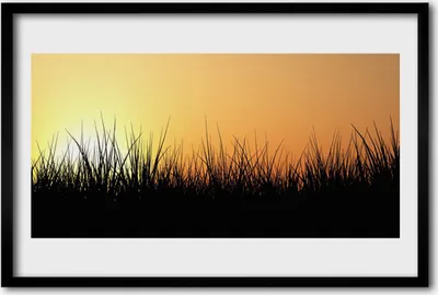 Produktbild von Bild 60x40 MDF-Rahmen Wandkunst Gras Natur Pflanze