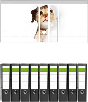 Produktbild von Wallario 9 Stück breite Ordner inkl. Klebeetiketten mit Motive Katze mit Blick nach oben -  Set mit Rückenschildern / Ordnerrücken Stickern