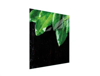 Immagine prodotto di Tagliere in vetro 45x52 basilico