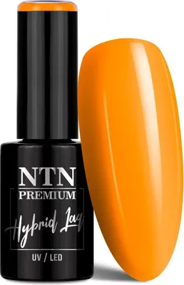 Image de Vernis hybride NTN Premium Édition limitée 5 g n° 382