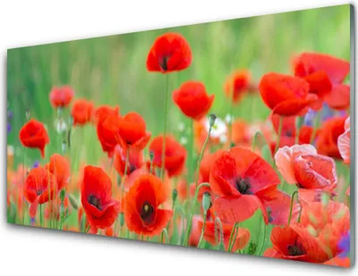 Produktbild von Acrylglasbilder 100x50 Wandbild Druck Mohnblumen Pflanzen