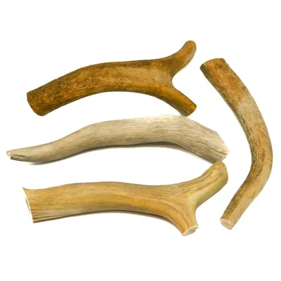 Immagine prodotto di RF-Deer corna di cervo naturali, decorazione unica, giocattolo perfetto per cani, giocattolo da masticare per cani, l'asta include 1 kg (10-20 cm/7-12 pezzi).
