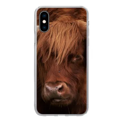 Produktbild von MuchoWow® Handyhülle Schutzhülle Hülle für iPhone X Schottischer Highlander - Orange - Tiere Silikon Softcase Handy Hülle - Handyhülle