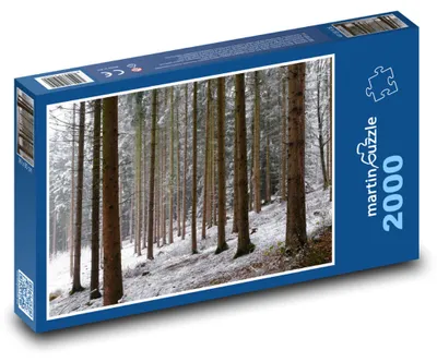 Obrázek produktu pro Puzzle 2000 Stromy v zimě - les, sníh - martinpuzzle