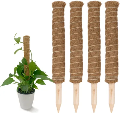 Immagine prodotto di Supporto per arrampicata in cocco - 4 pezzi / 40 cm - Bastone per arrampicata (40 cm / 4 pezzi)