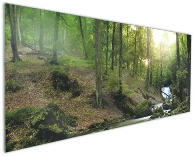 Produktbild von Wallario Küchenrückwand aus Glas, Größe: 125 x 50 cm, Motiv: Fließender Bach im Wald bei Sonnenuntergang | Spritzschutz | abwischbar | pflegeleicht | in