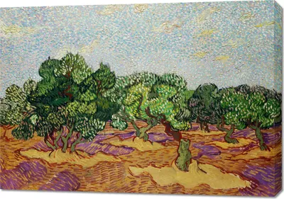Produktbild von Bild 100x70cm Olivenbäume 2, Van Gogh Vintage für das Wohnzimmer