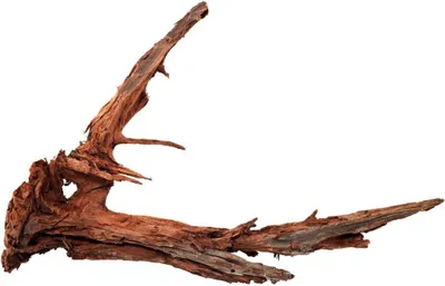 Productafbeelding van Grote Natuurlijke Mangrovenwortel als Aquariumdecoratie