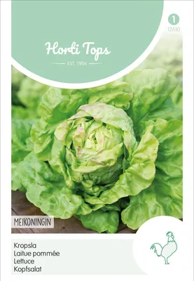 Produktbild von Kopfsalat Maikönig | Kopfsalatsamen von Hortitops