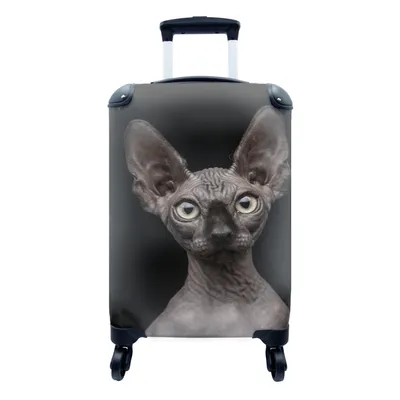 Produktbild von MuchoWow® Koffer Handgepäck Trolley Rollkoffer Kleine Reisekoffer mit 4 Rollen - Katze - Sphynx - Schwarz - Cabin Size < 55x40x23 cm & 55x40x20 cm - Fotokoffer - Kabinenkoffer - Boardgepäck - Reise-Box - Reisekoffer - Reisegepäck - Koffer mit Bild - Trolley für Kinder