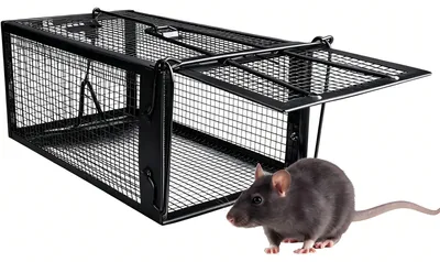 Imagen del producto de Trampa para ratones, respetuosa con los animales: trampa viva con cierre rápido, apta para uso en interiores y exteriores, dimensiones: 31 x 17 x 13.5 cm. Control de plagas, fácil de usar