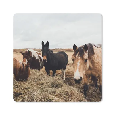 Produktbild von MuchoWow® Mauspad Mousepad Tiere - Pferd 20x20 cm - Mousepads - Maus Mat - Pad - Mausunterlage - Desk Mat - Bureauartikeln
