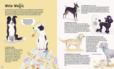 Image de In 80 Hunden um die Welt