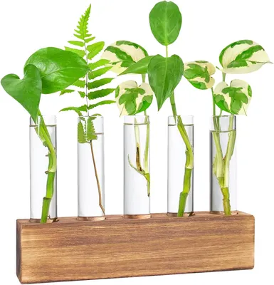 Obrázok produktu pre Váza s dreveným stojanom, 5 sklenených skúmaviek, pre hydroponiku, 22 x 5 x 3,8 cm, odolná