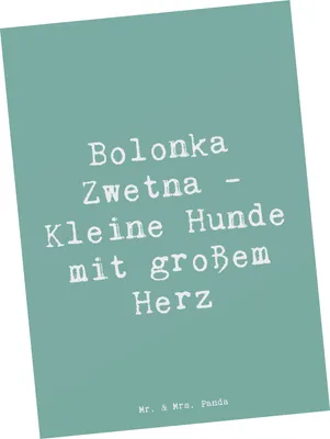 Produktbild von Mr. & Mrs. Panda Postkarte Spruch Bolonka Zwetna Herz - Meeresbrise - Geschenk, treue Begleiter, Familienhund, bildkarte, Postkarten, Grußkarte, Hunderassen Charakter