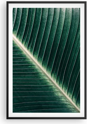 Produktbild von Gerahmtes Poster - Schwarzer Rahmen - Grün Blatt Tropisch - 61x91,5 cm - Wand Bild - Wanddeko - Wandbilder - Kunstposter - Wandposter - Bilderrahmen - Bilder - Kunstdruck - Wandbild - P2BPA61x91-4126