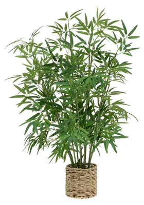 Produktbild von Künstliche Bambuspflanze 100 cm