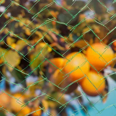 Produktbild von Vogelschutznetz Birdnet 10 x 5