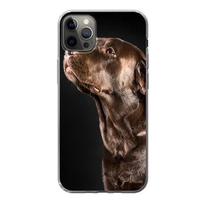Produktbild von MuchoWow® Handyhülle Schutzhülle Hülle für iPhone 13 Pro Max Hund - Braun - Porträt Silikon Softcase Handy Hülle - Mobiltelefon