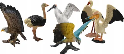 Zdjęcie produktu dla Zestaw Figurek 6Szt Realistyczne Figurki Dzikie Ptaki Bocian Orzeł Struś