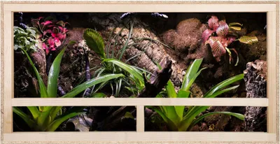 Produktbild von Repiterra® Terrarium Seitenbelüftung Holzterrarium OSB Holz Terrarien 100x50x50
