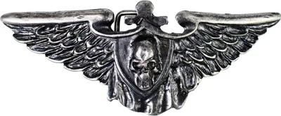Produktbild von FRONHOFER große Gürtelschnalle mit Flügeln und Totenkopf für 4 cm Riemen