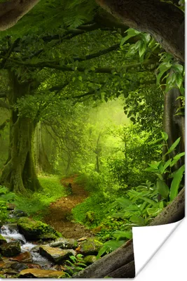Produktbild von MuchoWow® Poster Dschungel - Grün - Natur - Tropisch - Pflanzen 120x180 cm - Kunstposter
