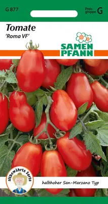 Artikelbild 1 von 'Eiertomate Roma San-Marzano Typ' aus der Kategorie San Marzano Tomatensamen