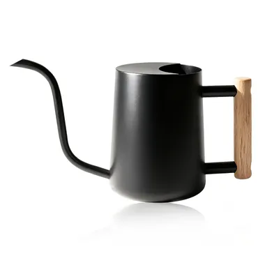 Produktbild von Bamworld Gießkanne für Zimmerpflanzen 35oz – Kleine Edelstahl-Gießkanne für drinnen & draußen (Schwarz)