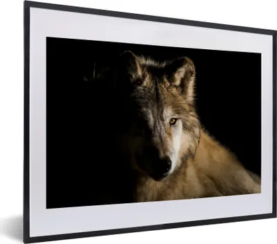 Produktbild von MuchoWow® MuchoWow® Gerahmtes Poster Polarwolf 40x30 cm - Poster mit zchwarzem Bilderrahmen - Bilderrahmen - Poster im Rahmen
