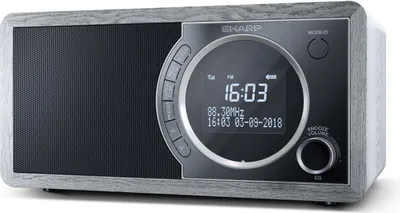 Immagine prodotto di Sharp DR-450 Radio Personale Digitale LCD Bluetooth Grigio