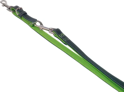 Produktbild von Nobby 77927-35, Hund, Trainingsleine, Grün, Band, Einfarbig, Leder