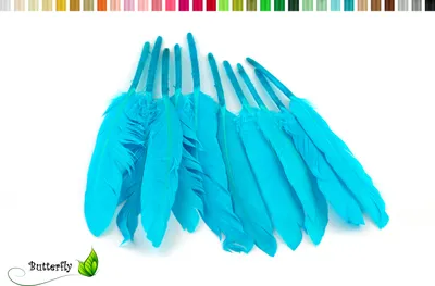 Produktbild von 10 Entenfedern ca. 10-15cm, Farbauswahl:türkis 340