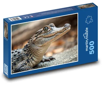 Produktbild von Puzzle 500 Alligatorjunges in der Wildnis - martinpuzzle