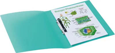 Immagine prodotto di HERMA Ringbuch A4 uni türkis