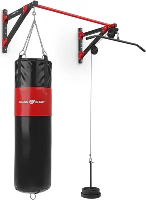 Image de Marbo Sport barre de traction multifonctionnelle avec fixation murale, traction latissimus et support de sac de boxe (3en1) MH-D2