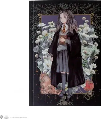 Obrázok produktu pre Zápisník Harryho Pottera A5 - Hermiona Grangerová