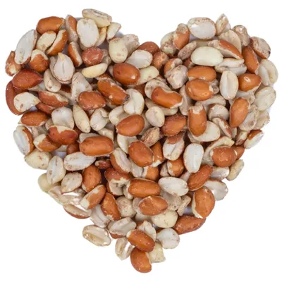 Produktbild von 10 kg Lyra Pet® Erdnusskerne Splits gemischt blanchiert und mit Haut HK Argentinien