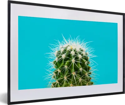 Produktbild von MuchoWow® MuchoWow® Gerahmtes Poster Kaktus auf blau 60x40 cm - Poster mit zchwarzem Bilderrahmen - Schlafzimmer - Plakat in Rahmen - Drucken