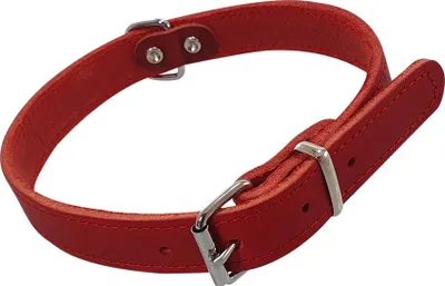 Produktbild von Nobby Halsband Tabil rot, Größe: M / Breite: 18 mm