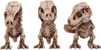 Produktbild von Nemesis Now Statue Three Wise Tyrannosaurus Rex Skeletons multicolor Standard