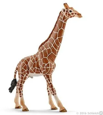 Zdjęcie produktu dla schleich WILD LIFE 14749, 3 lat(a), Safari, Wild animals / adventure toys, Wielobarwny, Plastik