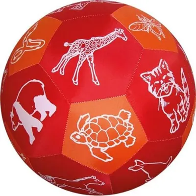 Image de Balle de jeu éducative HANDS ON Images d'animaux