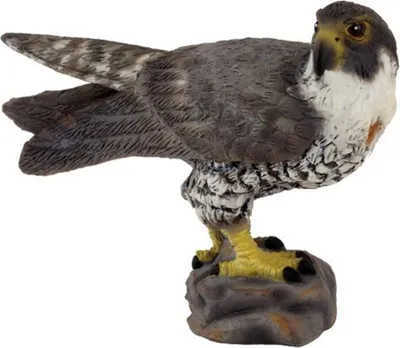 Produktbild von Collecta 88399 Wanderfalke 6 cm Wildtiere