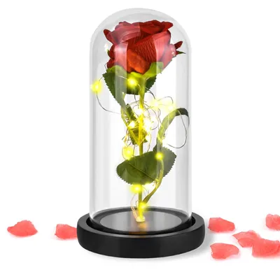 Künstliche Rose im Glaszylinder mit LED, schwarz