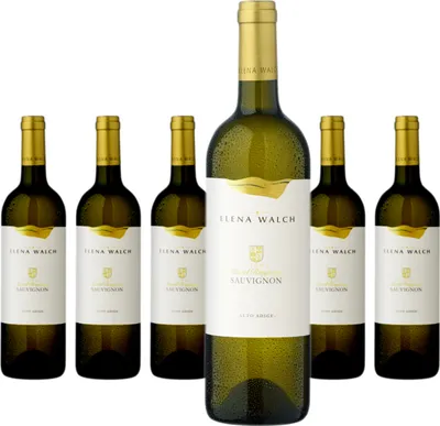 Produktbild von 6 x Elena Walch Castel Ringberg Sauvignon